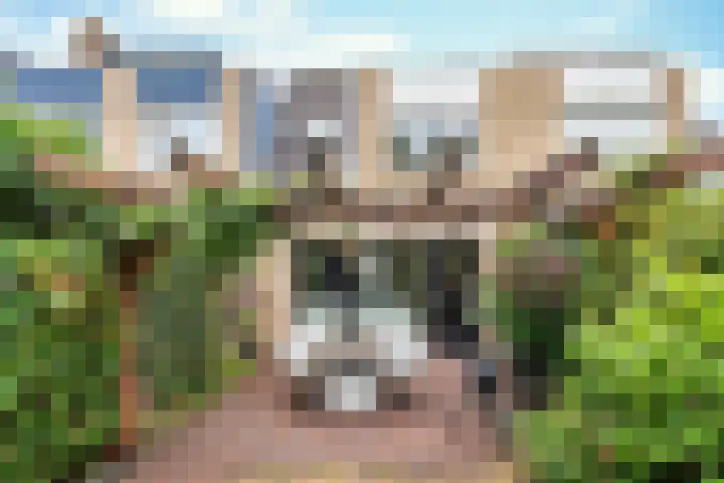 Langenakker 89 Mierlo thumbnail 34