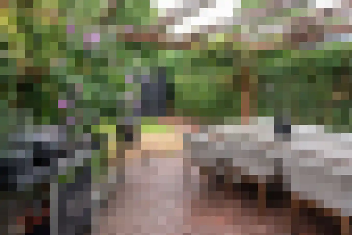 Langenakker 89 Mierlo thumbnail 36