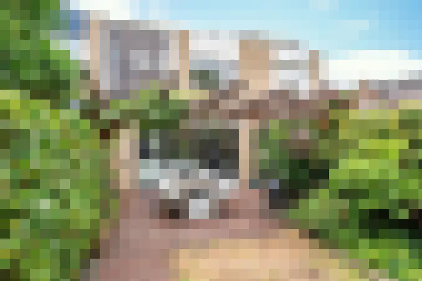 Langenakker 89 Mierlo thumbnail 37