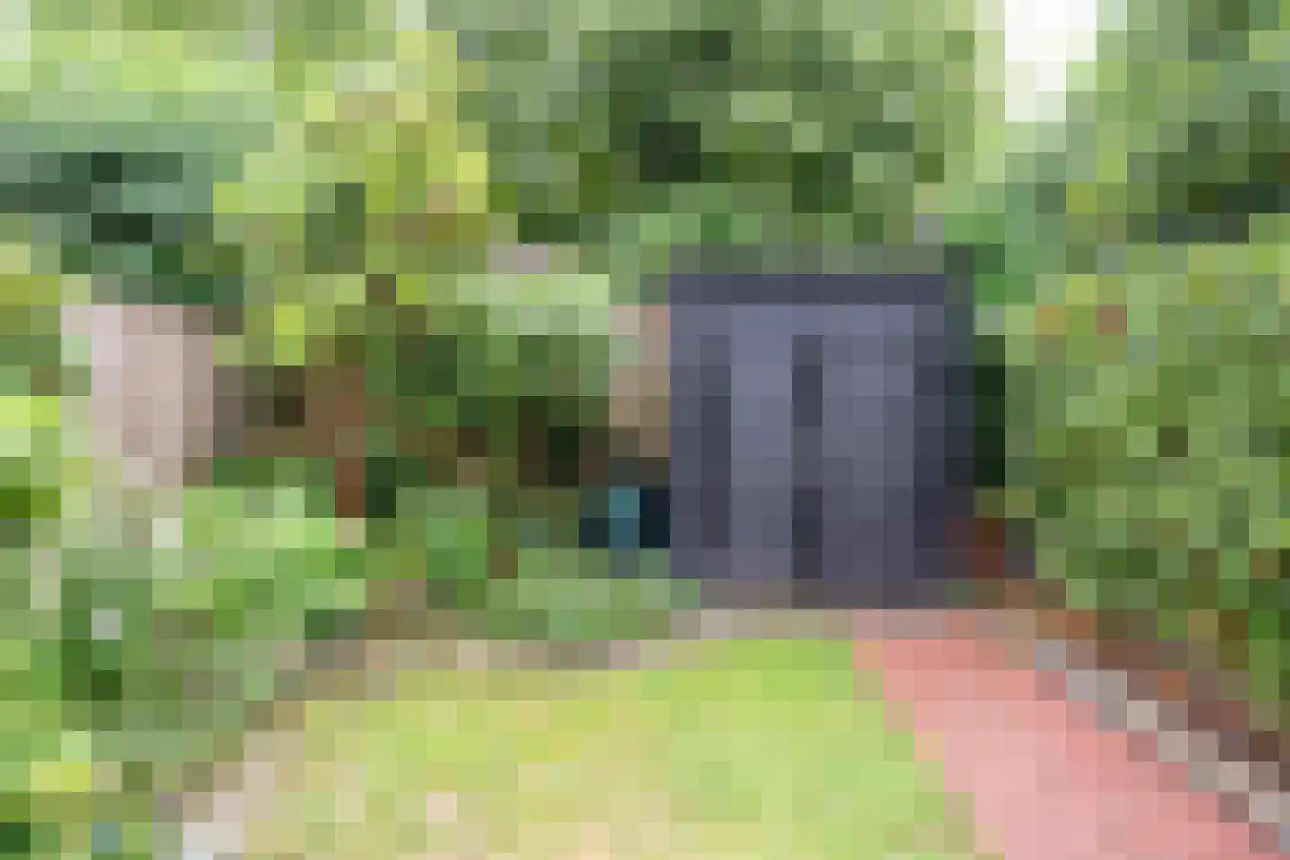 Langenakker 89 Mierlo thumbnail 38