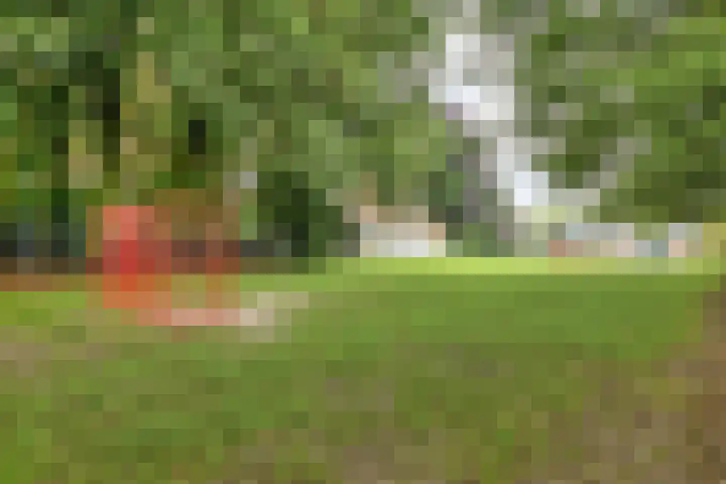 Langenakkerweg 10 Eindhoven thumbnail 36