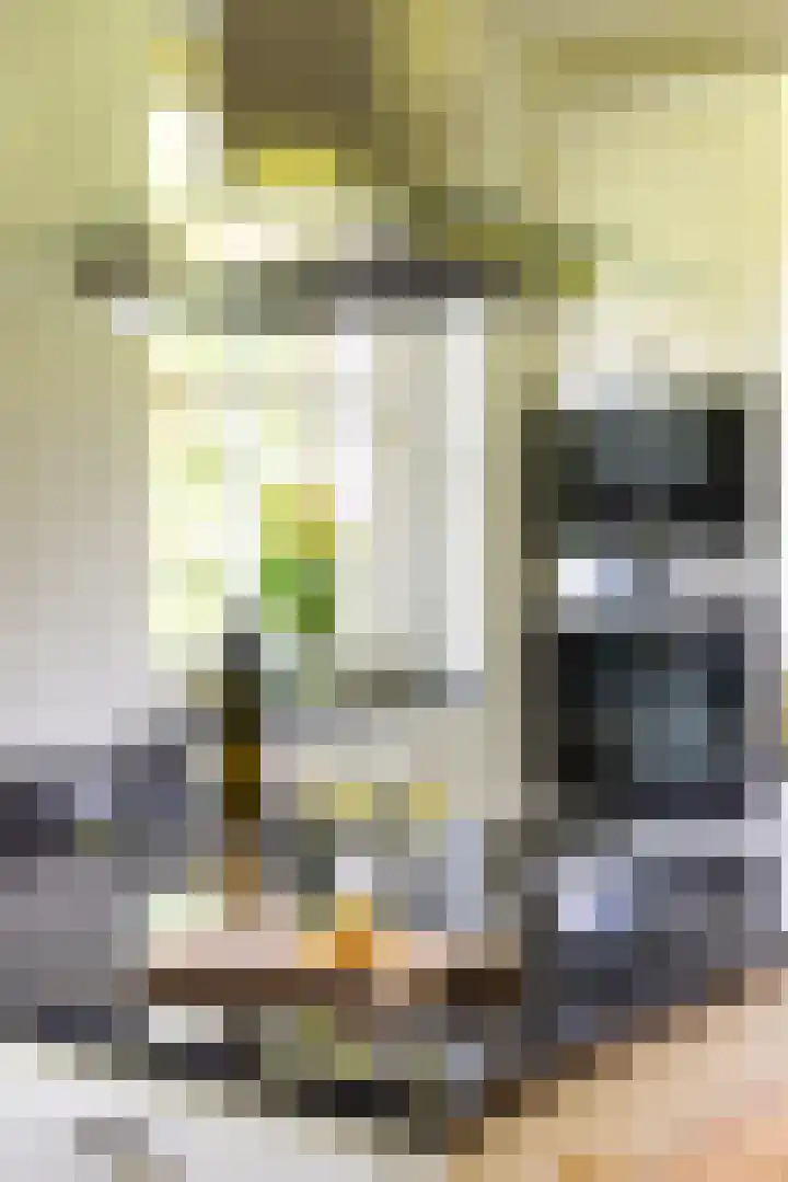 Langenbergerweg 5 Bathmen thumbnail 16
