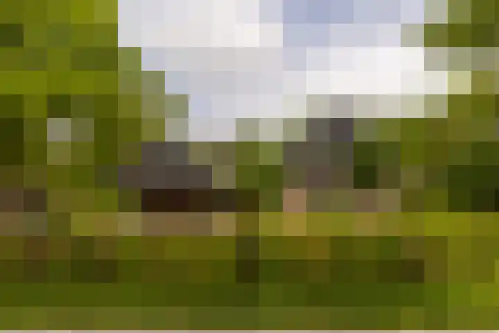 Langenbergerweg 5 Bathmen thumbnail 59