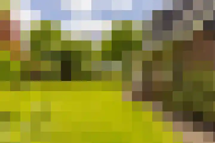 Langenbergerweg 5 Bathmen thumbnail 62