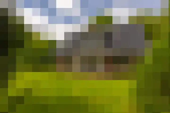 Langenbergerweg 5 Bathmen thumbnail 63
