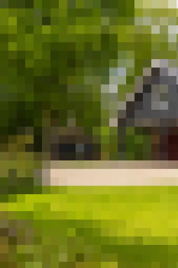 Langenbergerweg 5 Bathmen thumbnail 64