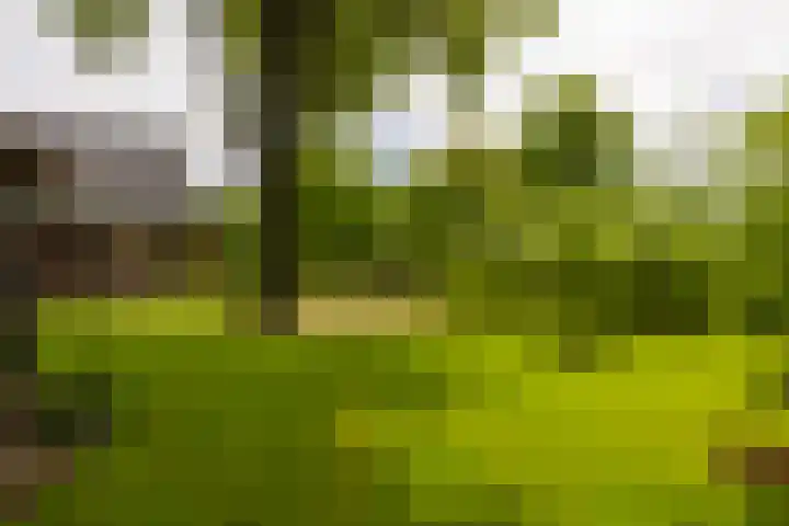 Langenbergerweg 5 Bathmen thumbnail 66