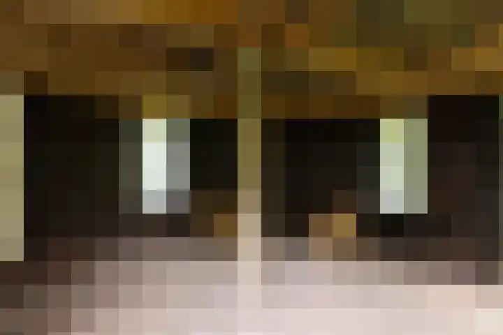 Langenbergerweg 5 Bathmen thumbnail 69