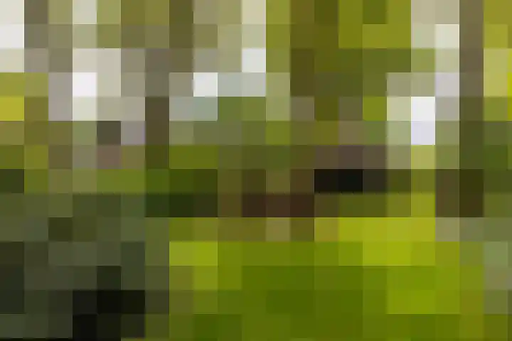 Langenbergerweg 5 Bathmen thumbnail 71