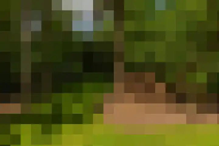 Langenbergerweg 5 Bathmen thumbnail 72