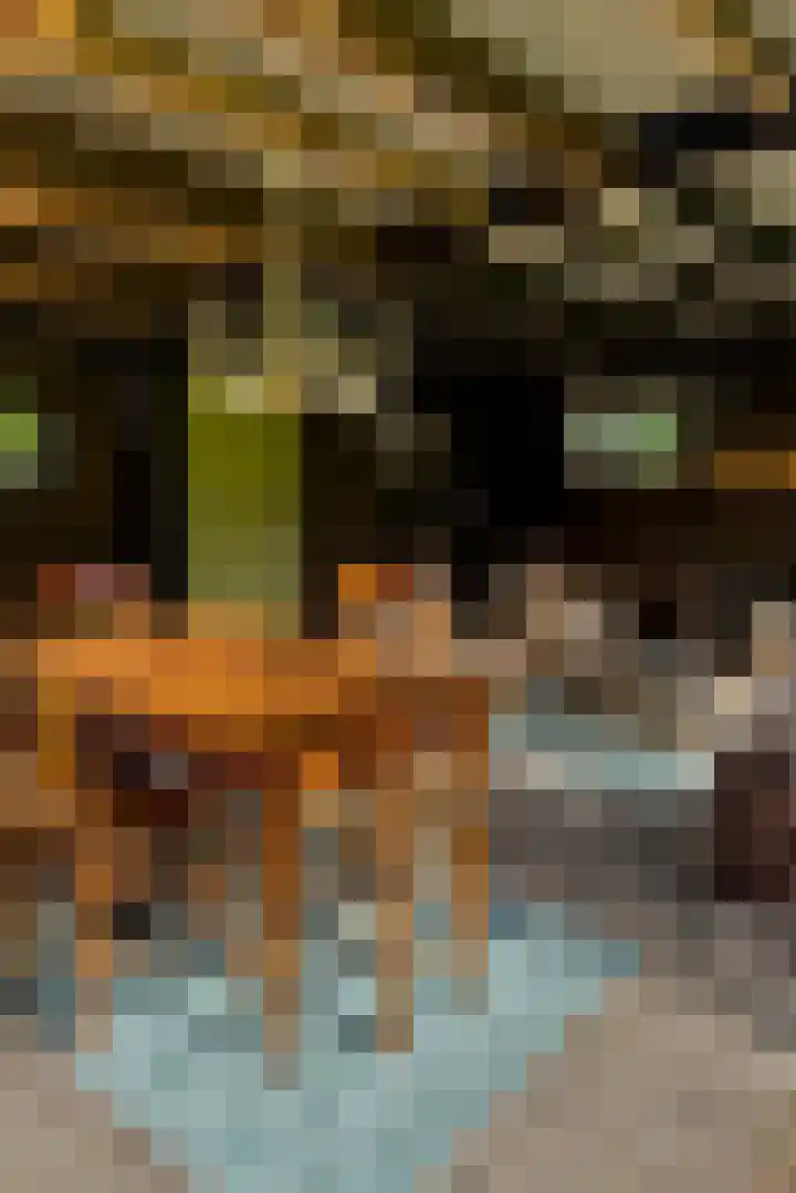 Langenbergerweg 5 Bathmen thumbnail 81