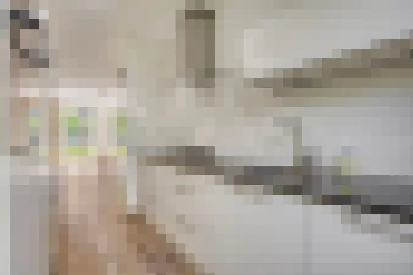Langenberghof 3 Zutphen thumbnail 16
