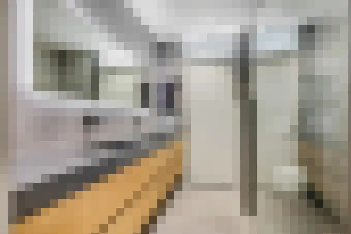 Langenberglaan 8 Ede thumbnail 33