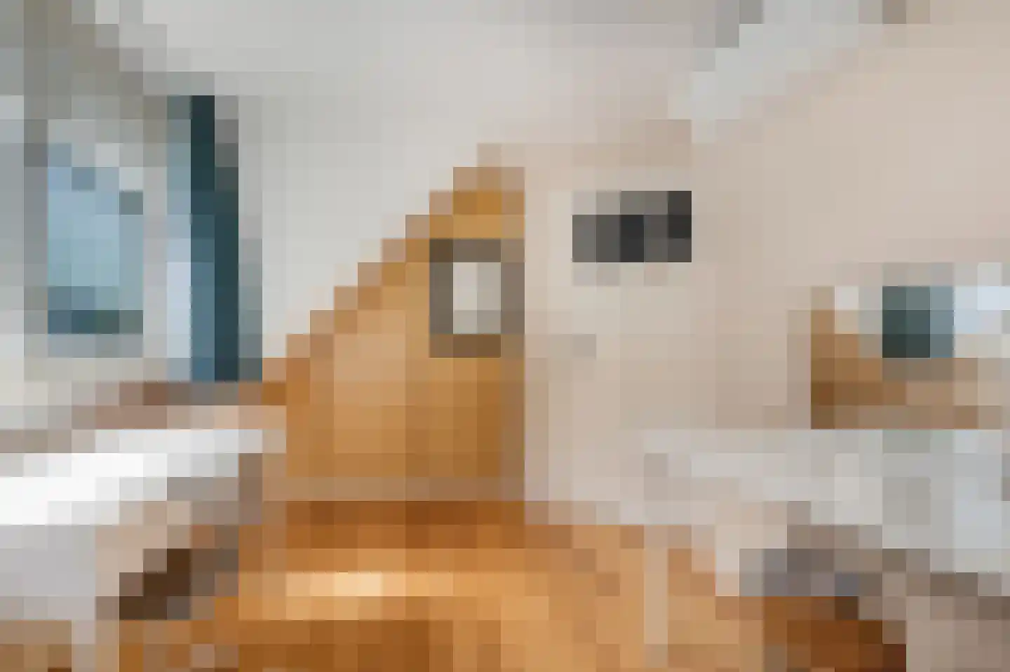 Langenberglaan 8 Ede thumbnail 47