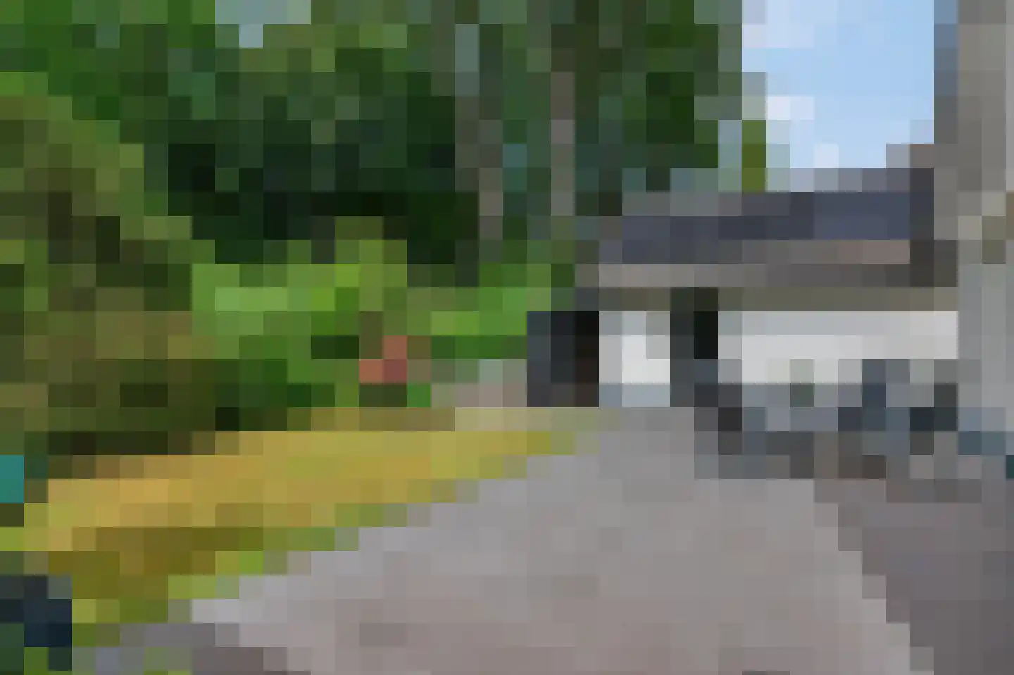 Langenberglaan 8 Ede thumbnail 53