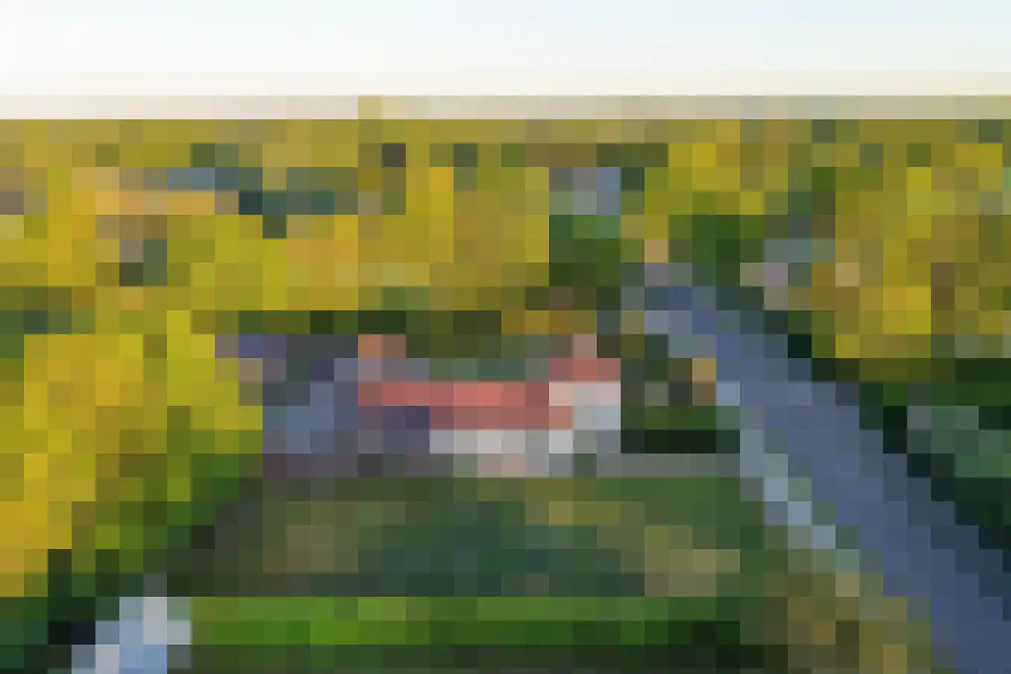 Langenboomseweg 122 Langenboom thumbnail 5