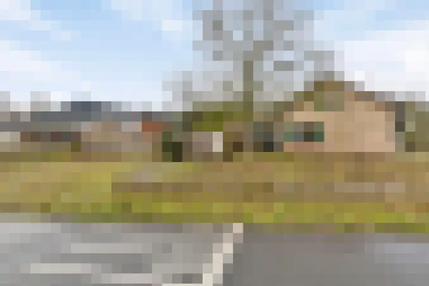 Langenboomseweg 35 Mill thumbnail 10