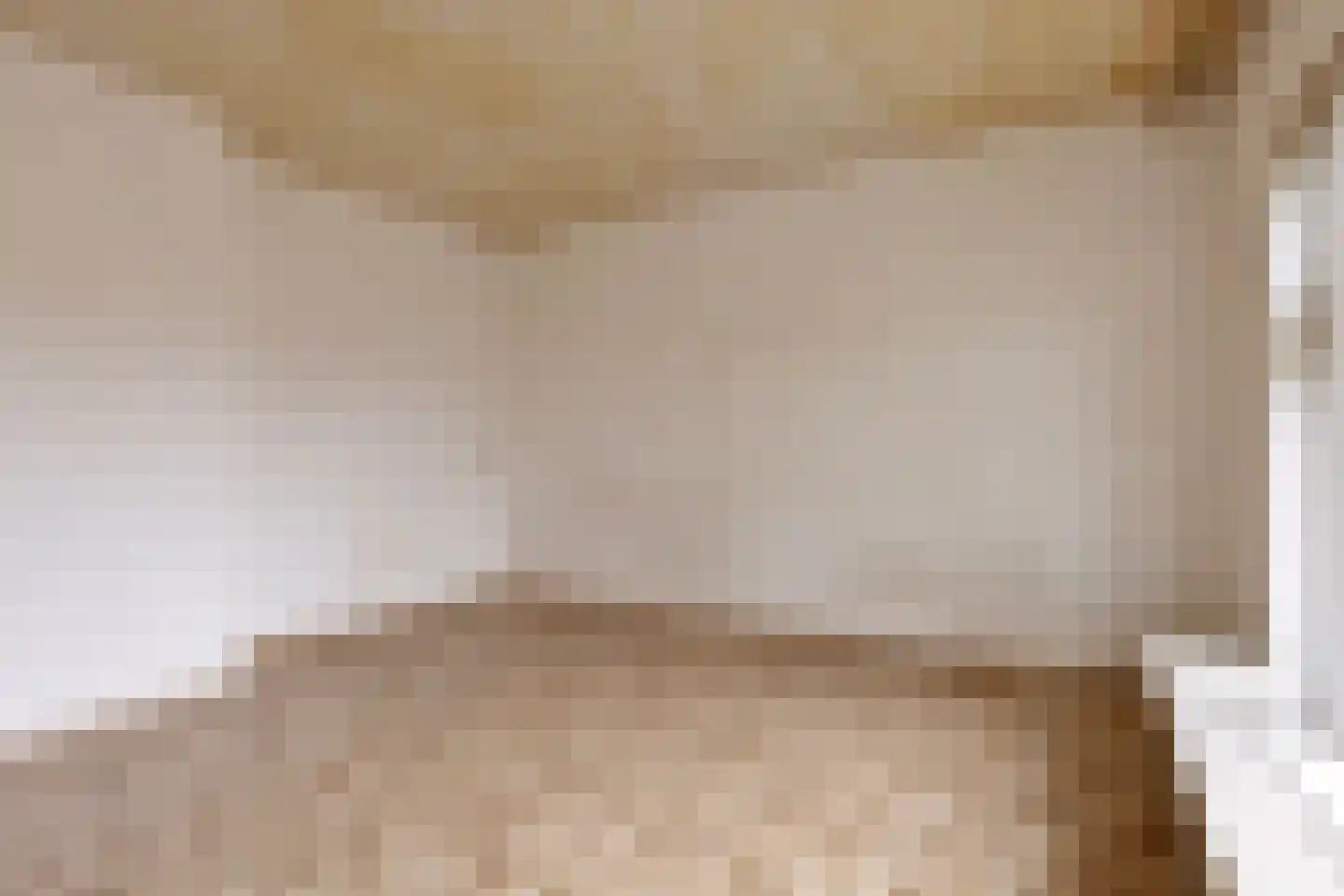 Langenboomseweg 35 Mill thumbnail 15