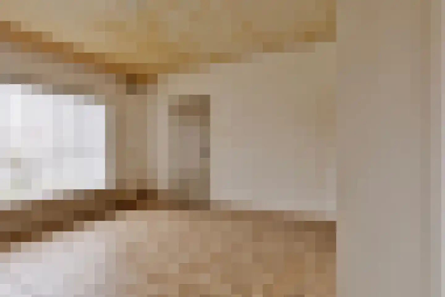 Langenboomseweg 35 Mill thumbnail 17