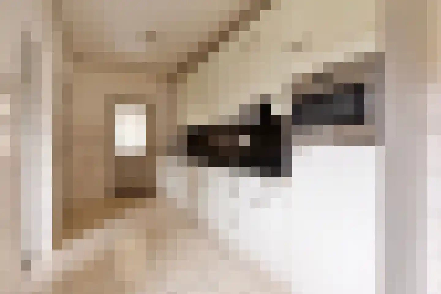 Langenboomseweg 35 Mill thumbnail 23