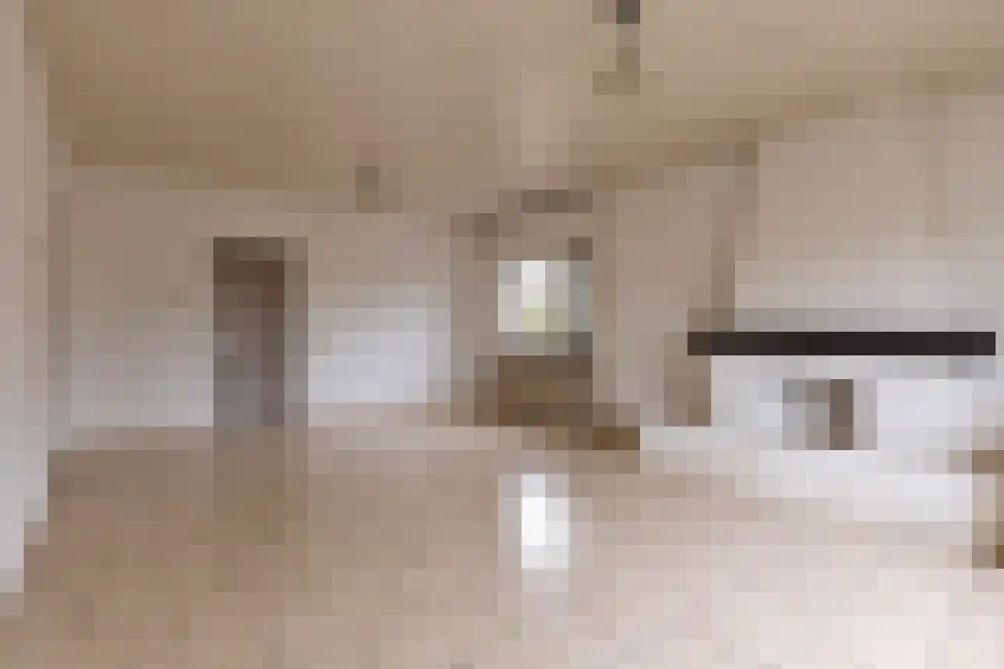 Langenboomseweg 35 Mill thumbnail 29