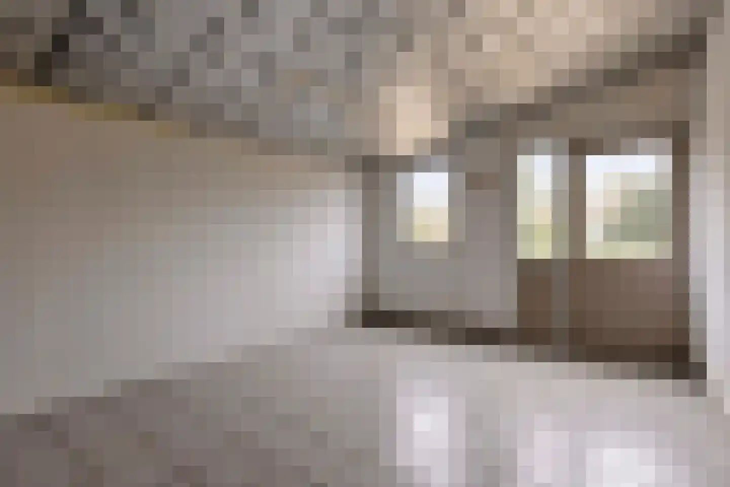 Langenboomseweg 35 Mill thumbnail 30