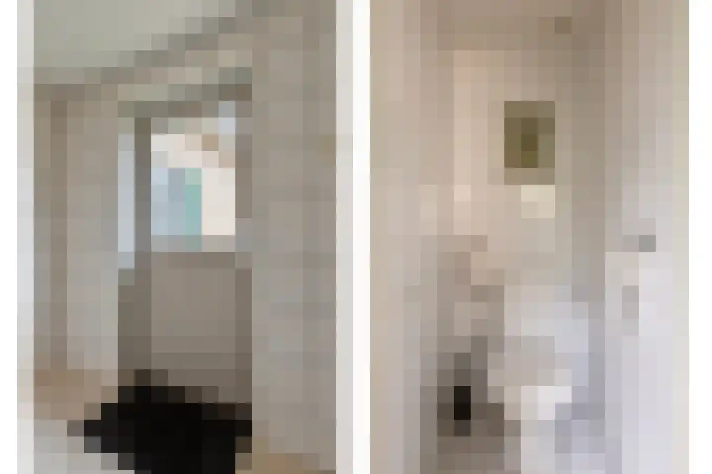 Langenboomseweg 35 Mill thumbnail 34