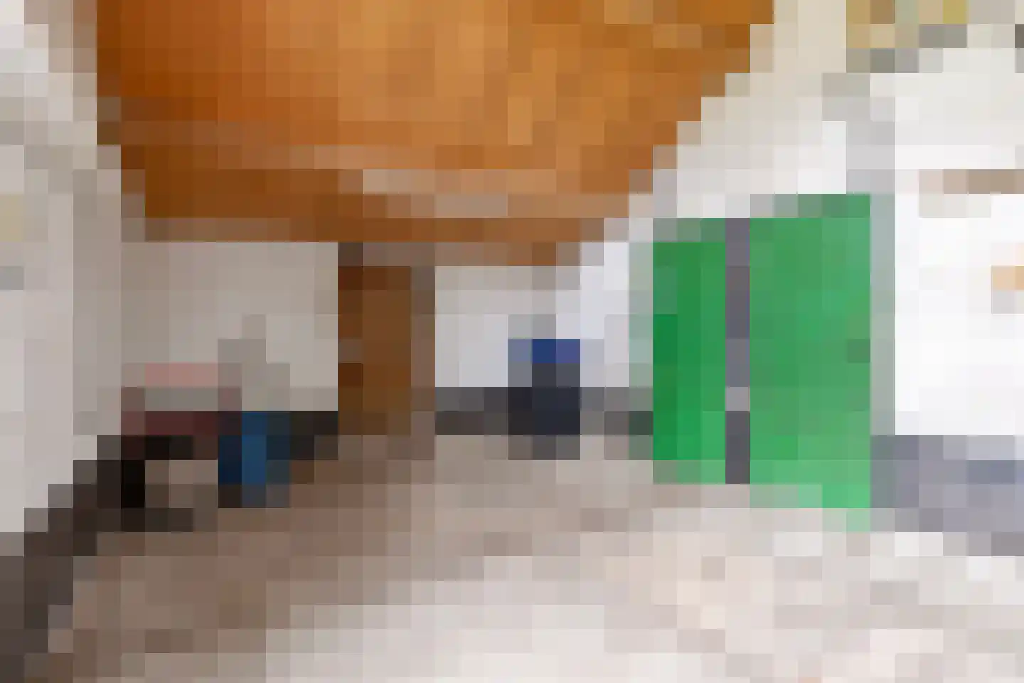 Langenboomseweg 35 Mill thumbnail 41