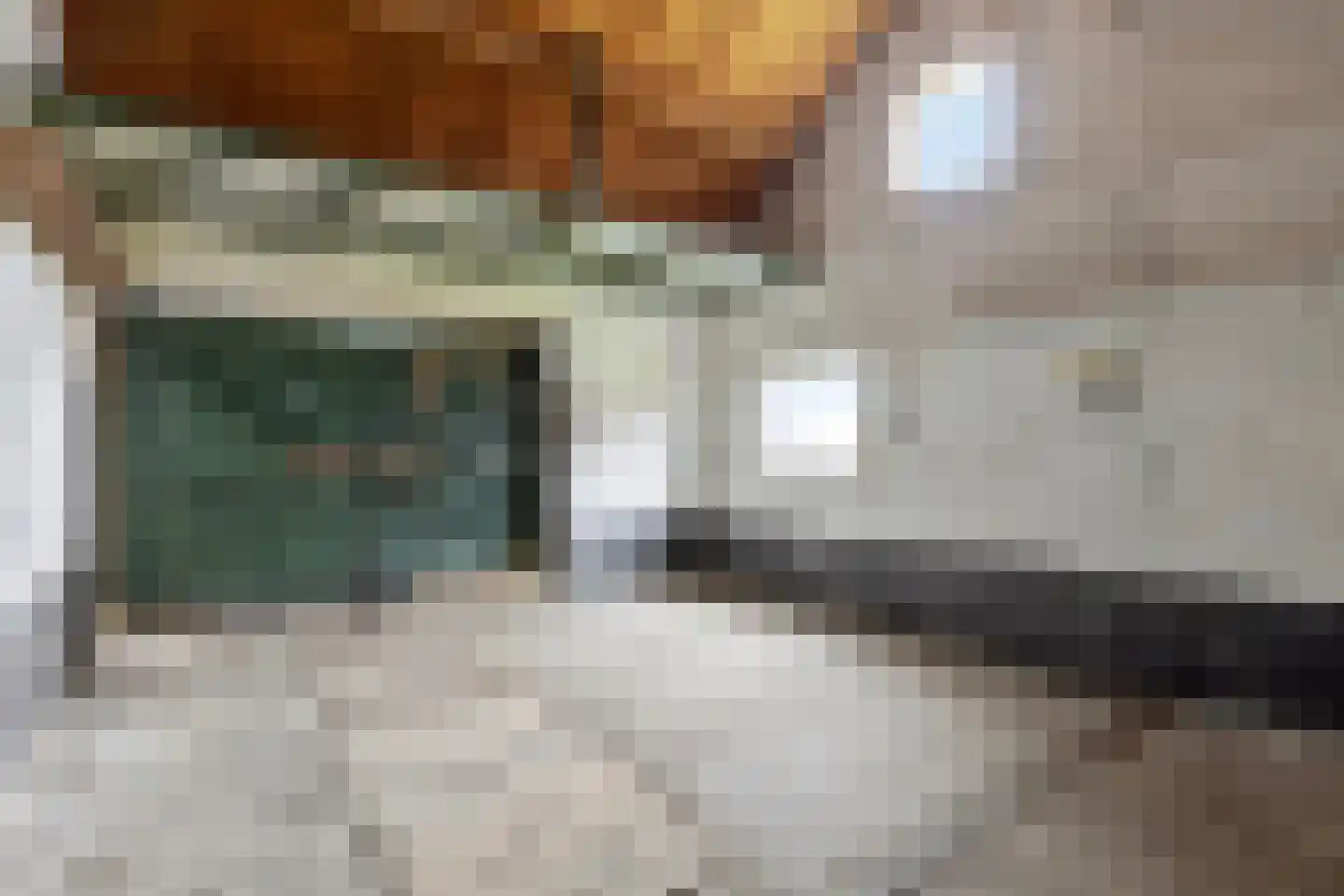 Langenboomseweg 35 Mill thumbnail 42