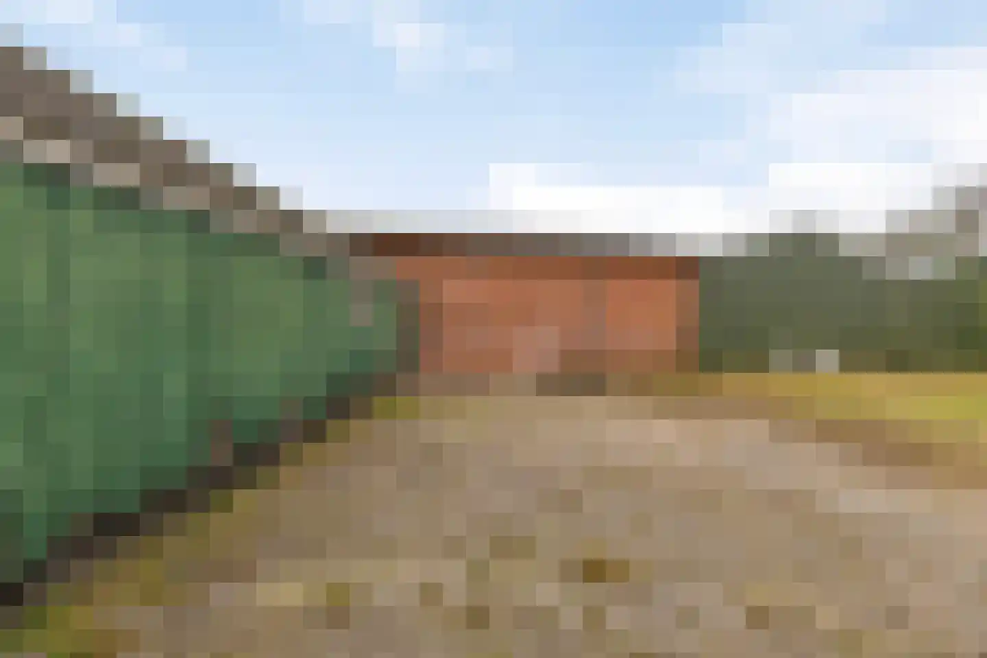 Langenboomseweg 35 Mill thumbnail 44