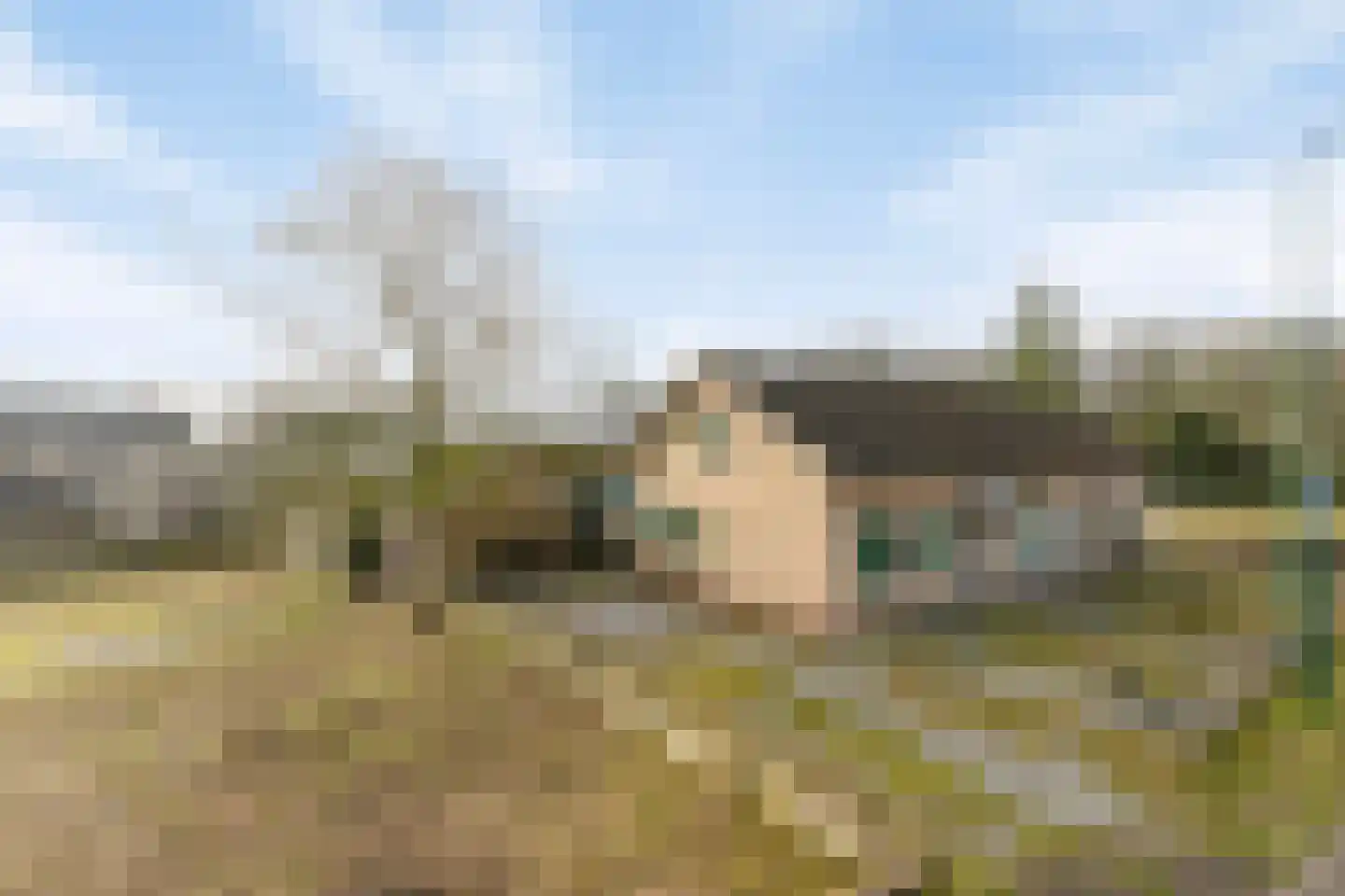 Langenboomseweg 35 Mill thumbnail 9
