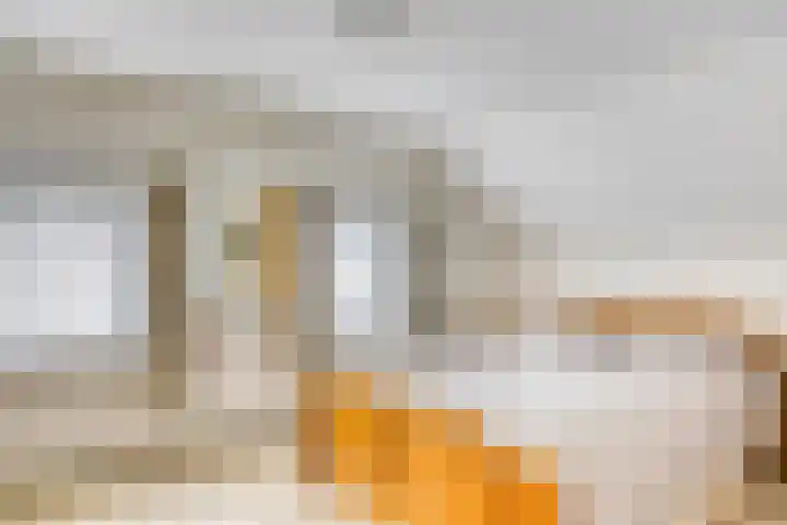 Langenboomseweg 50 Mill thumbnail 18