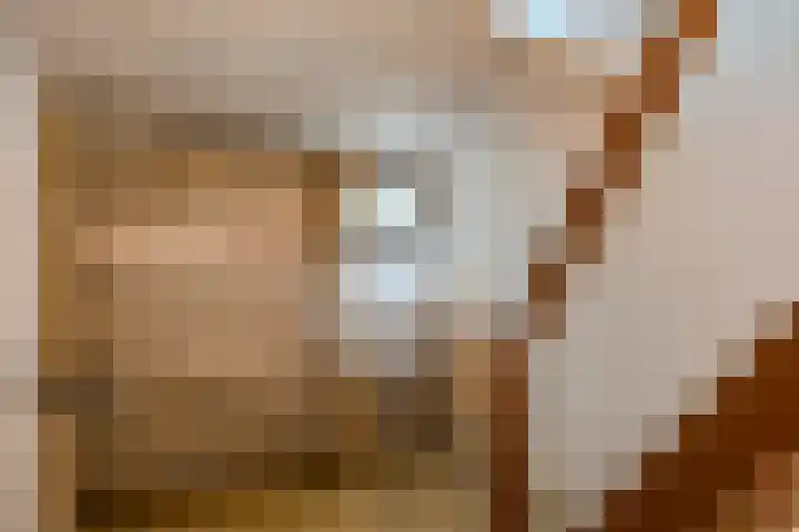Langenboomseweg 50 Mill thumbnail 24