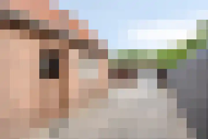 Langenboomseweg 50 Mill thumbnail 25