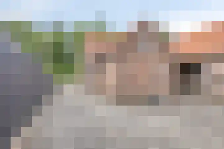 Langenboomseweg 50 Mill thumbnail 26
