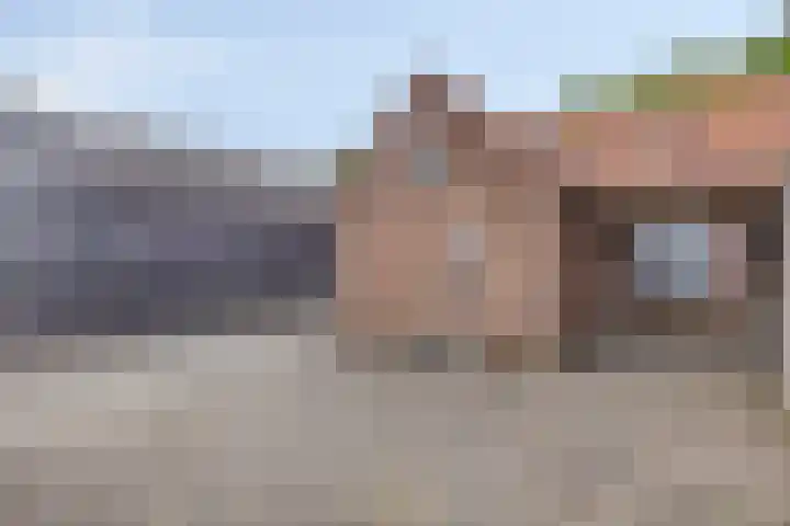 Langenboomseweg 50 Mill thumbnail 27