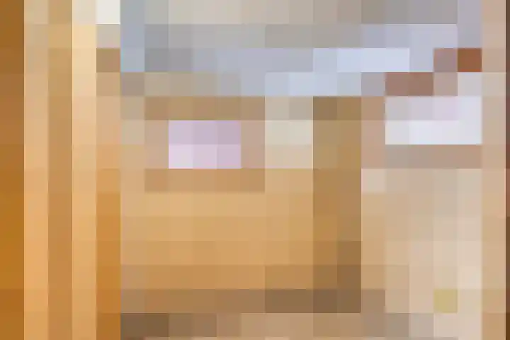 Langenboomseweg 50 Mill thumbnail 32