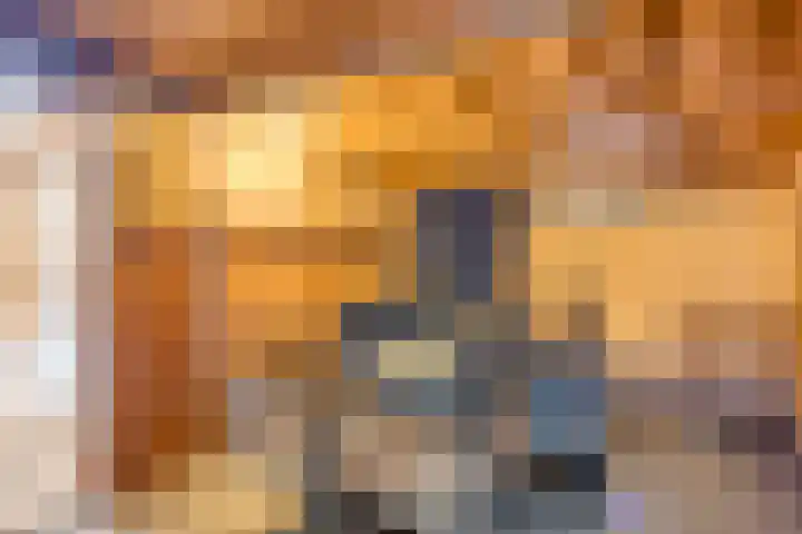 Langenboomseweg 50 Mill thumbnail 33