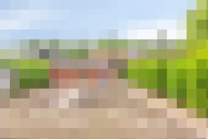 Langenboomseweg 50 Mill thumbnail 36