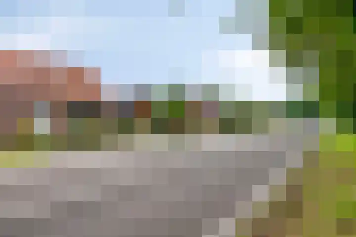 Langenboomseweg 50 Mill thumbnail 38