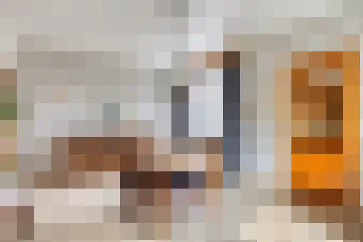 Langenboomseweg 50 Mill thumbnail 5