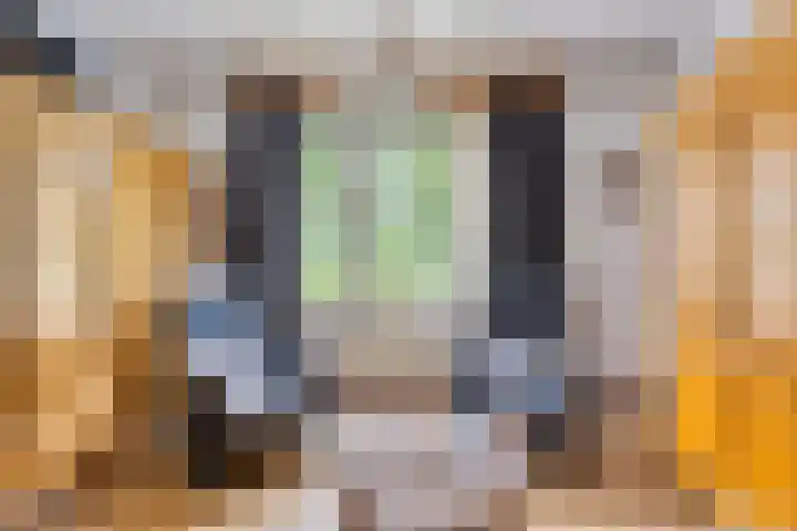 Langenboomseweg 50 Mill thumbnail 7