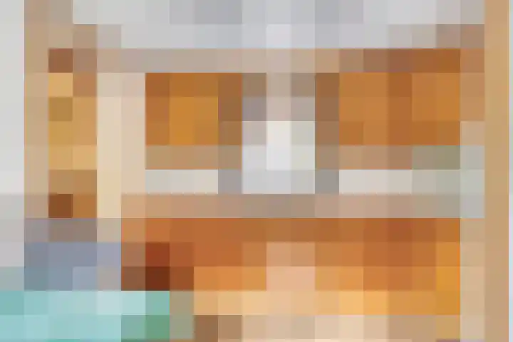Langenboomseweg 50 Mill thumbnail 9