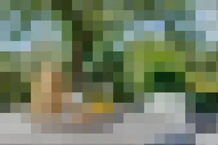 Langenboomseweg 69 a Mill thumbnail 64