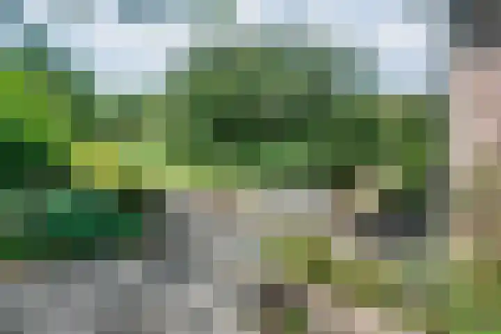 Langenboomseweg 69 a Mill thumbnail 68