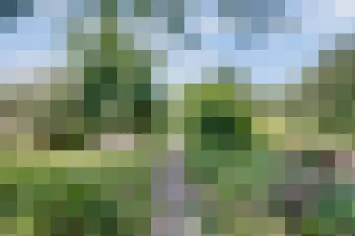 Langenboomseweg 69 a Mill thumbnail 69