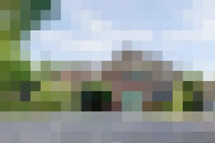 Langenboomseweg 69 a Mill thumbnail 7