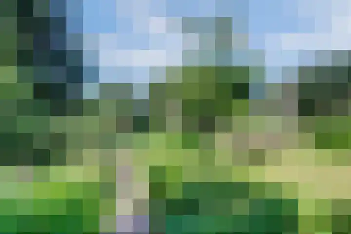 Langenboomseweg 69 a Mill thumbnail 71