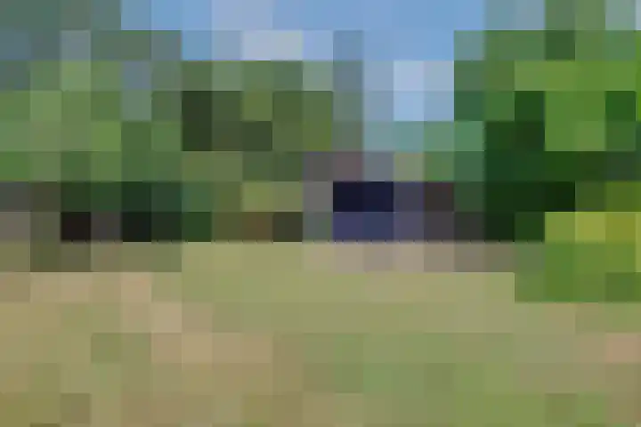 Langenboomseweg 69 a Mill thumbnail 73