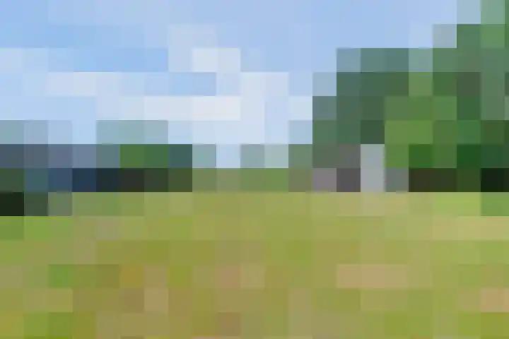 Langenboomseweg 69 a Mill thumbnail 77